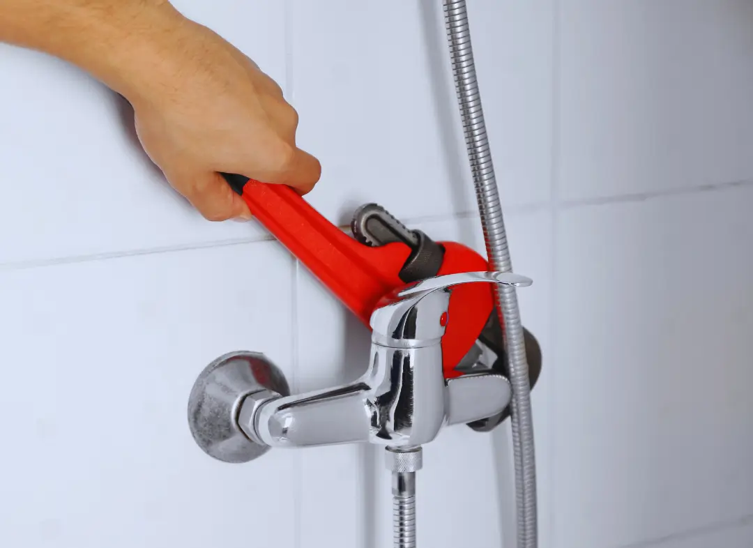 Mitigeur Thermostatique douche Lys-Haut-Layon
