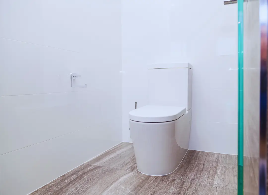 Remplacement de wc Lys-Haut-Layon